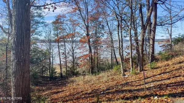 0 Travelers Cove, Baneberry, TN 37890