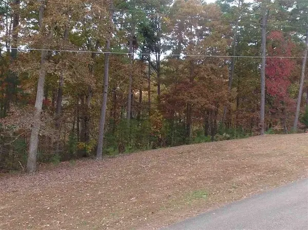 13 LAKESHORE LN, Counce, TN 38326