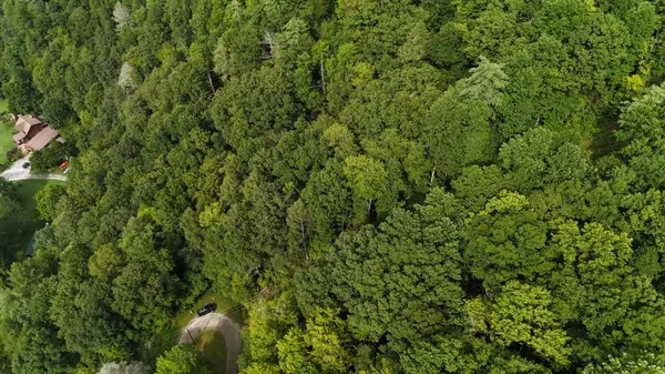 0 Steer Creek Road, Tellico Plains, TN 37385