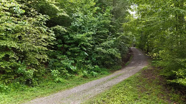 0 Steer Creek Road, Tellico Plains, TN 37385