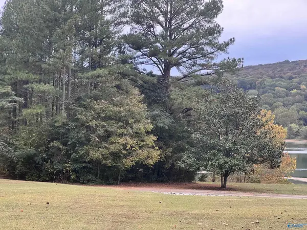 110 Trail Ridge Road, New Market, AL 35761