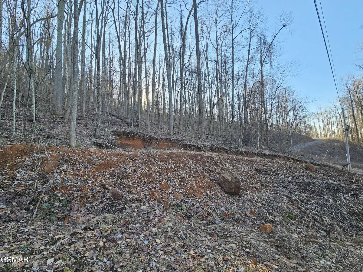30 Grand Country, Cosby, TN 37722