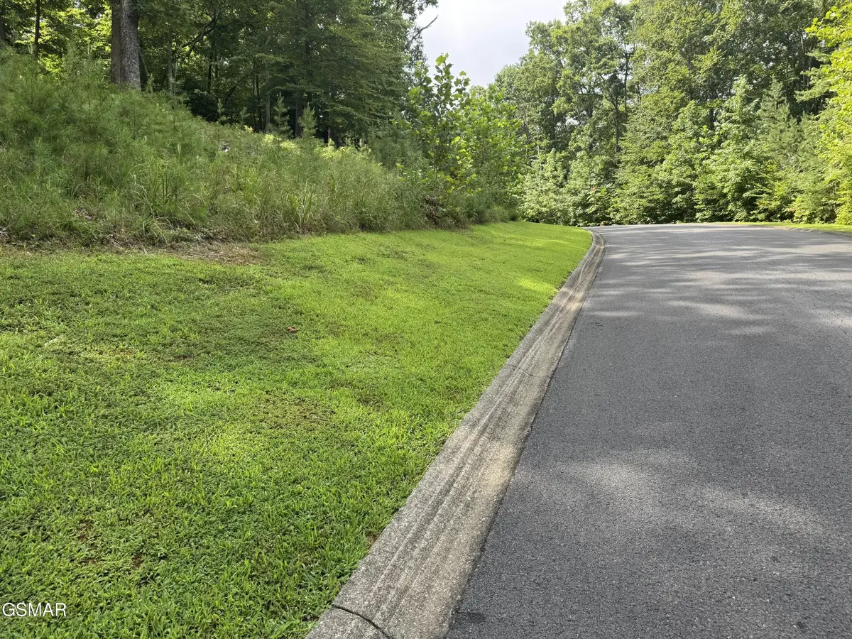 11 Cove Springs Drive, Dandridge, TN 37725