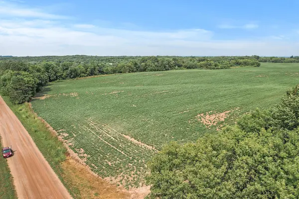 xxx Pine ST, Amador Twp, MN 55012