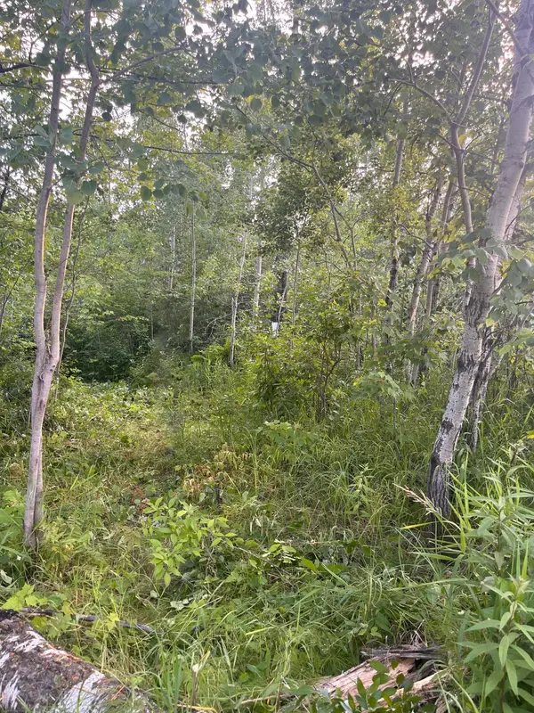 Xxxxx State Highway 48, Barry Twp, MN 55037