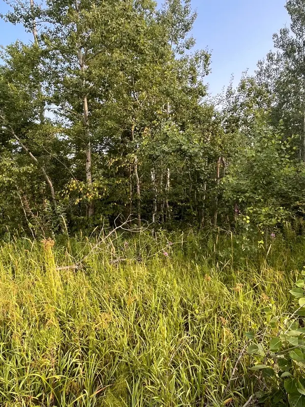 Xxxxx State Highway 48, Barry Twp, MN 55037