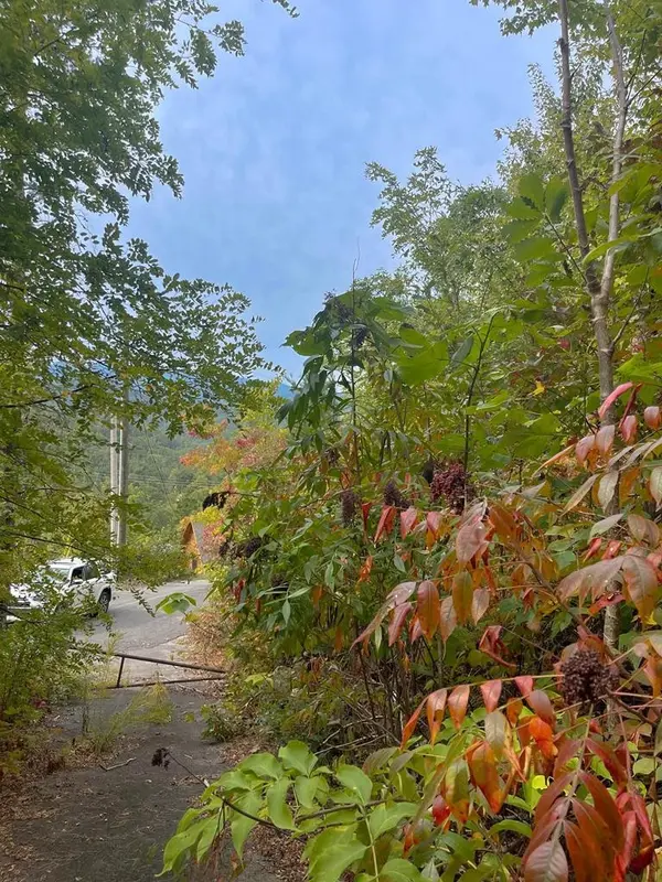 1271 Appalachian Lane,  Gatlinburg,  TN 37738