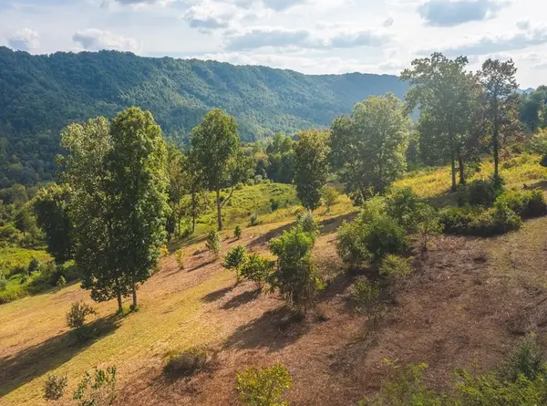 0 War Creek Road, Eidson, TN 37731