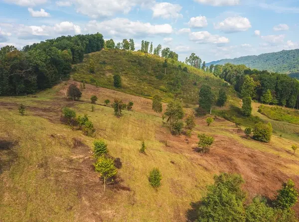0 War Creek Road, Eidson, TN 37731