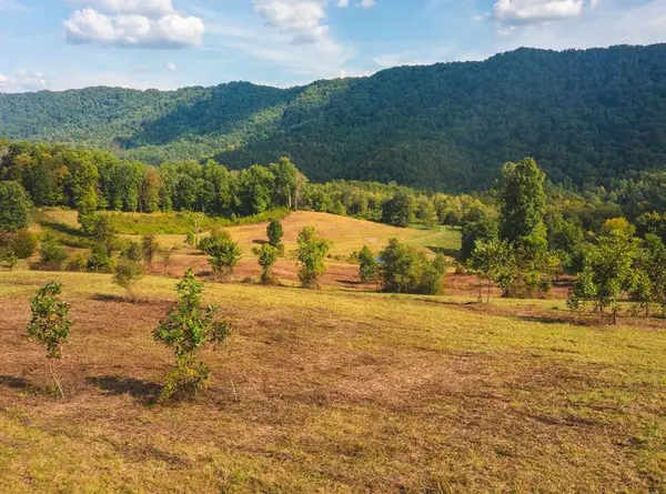 0 War Creek Road,  Eidson,  TN 37731