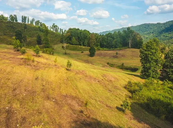 0 War Creek Road, Eidson, TN 37731