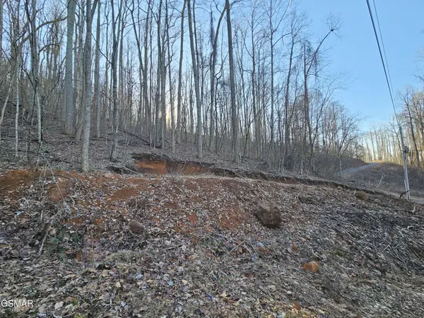 30 Grand Country,  Cosby,  TN 37722