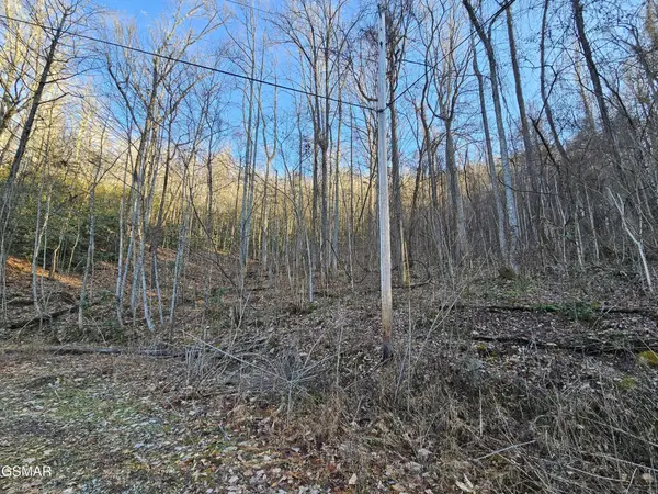 30 Grand Country, Cosby, TN 37722