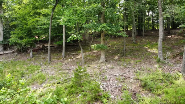 11 Cove Springs Drive, Dandridge, TN 37725