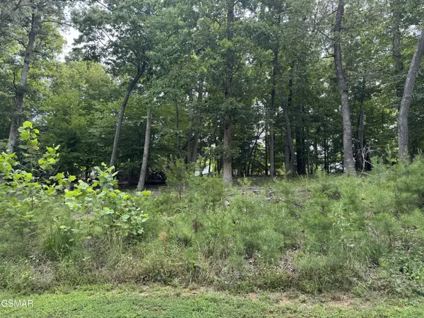11 Cove Springs Drive, Dandridge, TN 37725