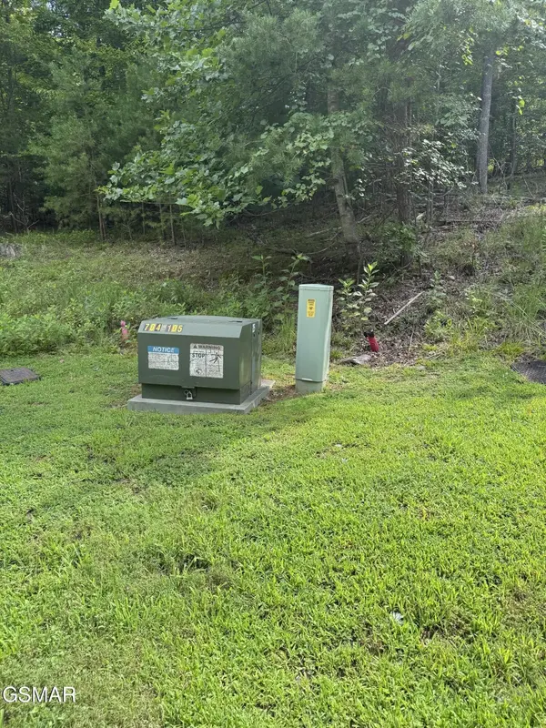 11 Cove Springs Drive, Dandridge, TN 37725