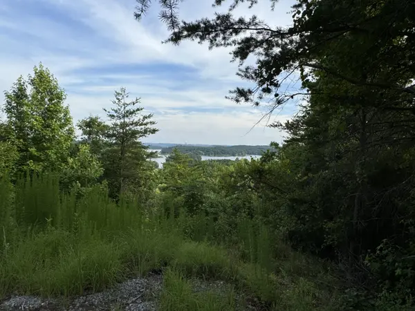 0 Piney Point Road, Spring City, TN 37381