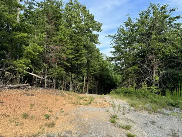 0 Piney Point Road, Spring City, TN 37381