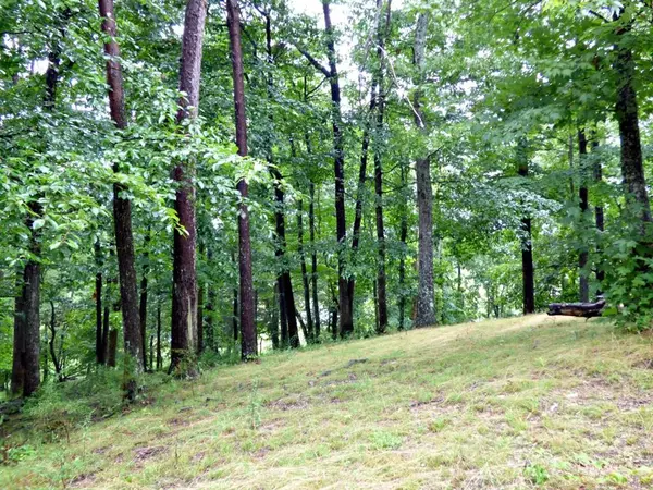 6 Stonehenge Way,  Dandridge,  TN 37725