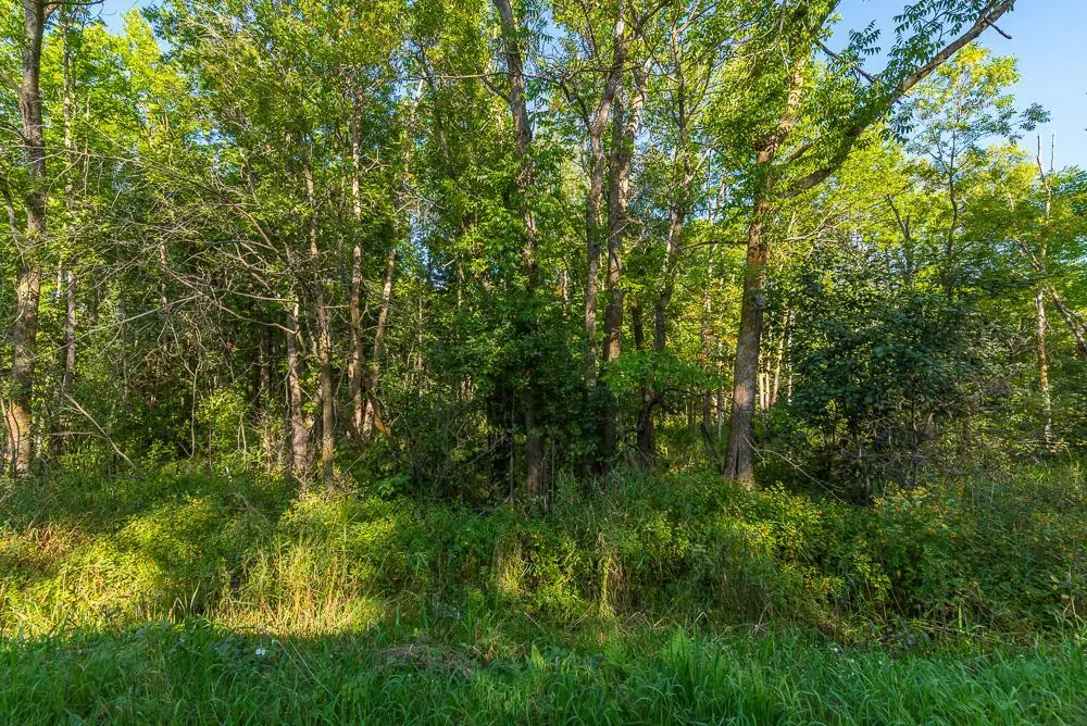 TBD SW 71st ST, Moose Lake Twp, MN 56479