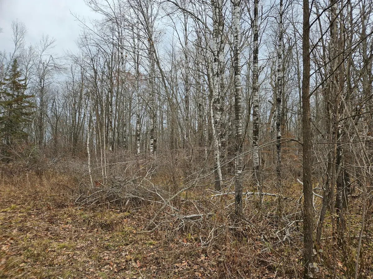 xxx Rutabaga RD, Sandstone, MN 55072
