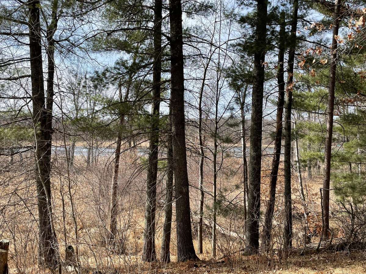 TBD Edna LN, Nisswa, MN 56468