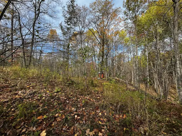 14XX County Road 440, Coleraine, MN 55722