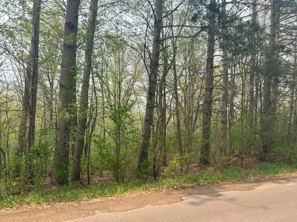 XXXX Birch LN, Arthur Twp, MN 55051