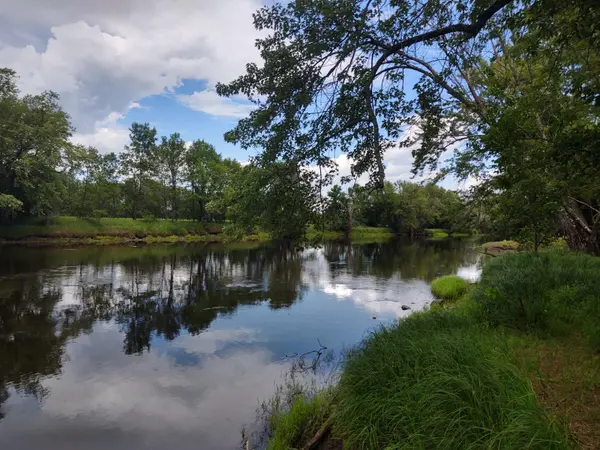 XXX Royal Heights, Royalton Twp, MN 55006