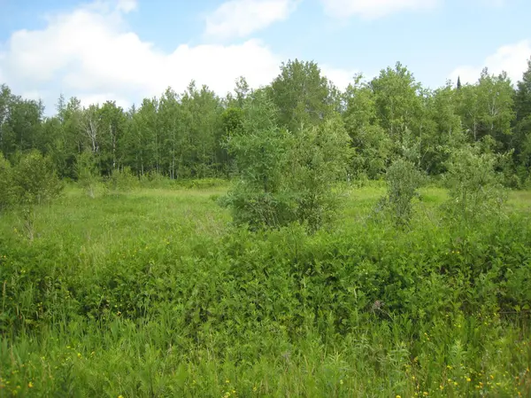 3692 Highway 33, Brevator Twp, MN 55720