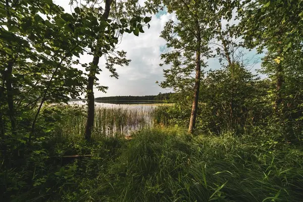 40994 County Highway 56, Frazee, MN 56544