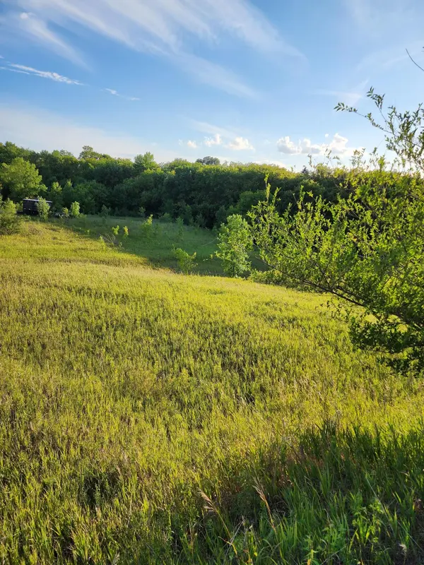 XXXX Country Estates CT, Ida Twp, MN 56308