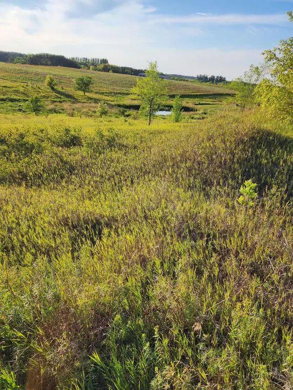 XXXX Country Estates CT, Ida Twp, MN 56308