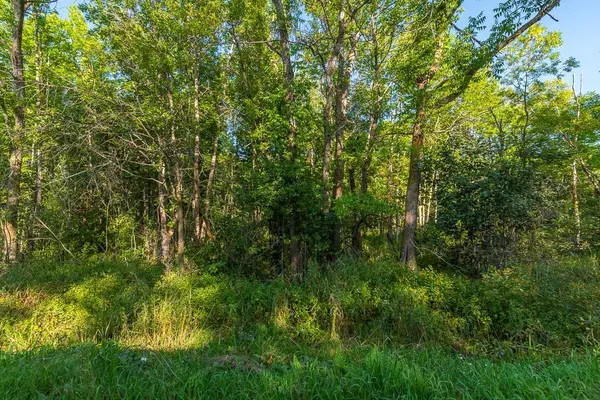 TBD SW 71st ST, Moose Lake Twp, MN 56479
