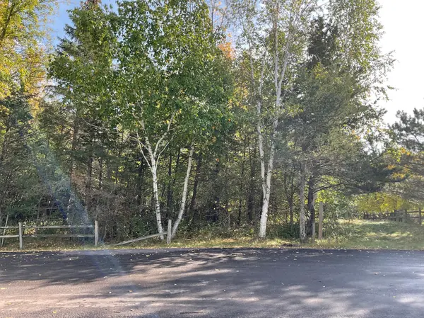XXX 158th AVE NE, Spicer, MN 56288