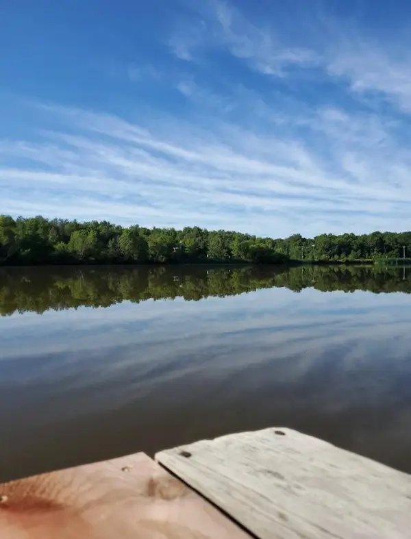 29360 Francis Lake DR NW, Bradford Twp, MN 55040