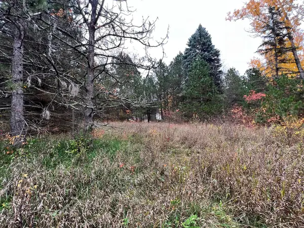 XXXX 104th St NW, Baldwin Twp, MN 55398