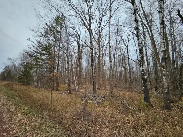 xxx Rutabaga RD, Sandstone, MN 55072