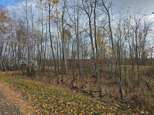 27345 Westward Ho, Roosevelt Twp, MN 56450