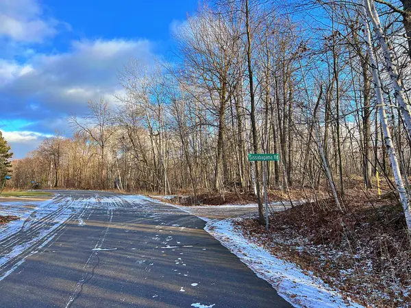 16325 Sissabagama RD Bay Lake Twp, MN 56444