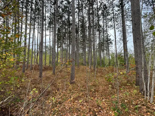 73843 Markville, Arna Twp, MN 55072