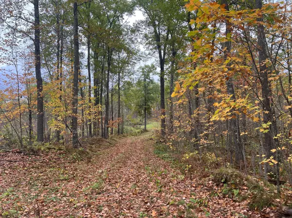73843 Markville, Arna Twp, MN 55072