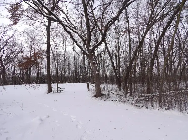 53970 174th ST, Austin Twp, MN 55912