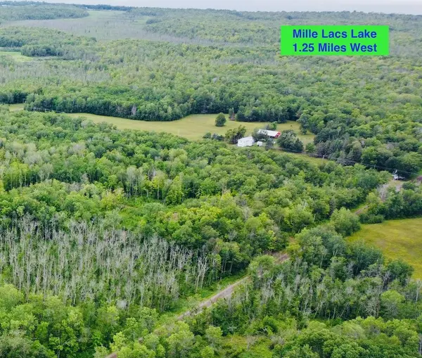 xxx County Rd 38, Lakeside Twp, MN 56342