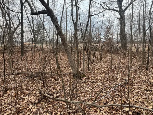 00000 Cross Lake Rd, Pine City Twp, MN 55063