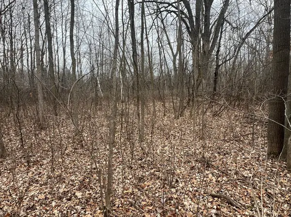 00000 Cross Lake Rd, Pine City Twp, MN 55063