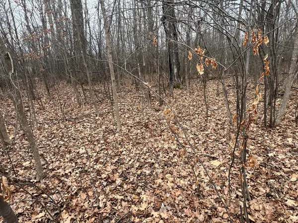 00000 Cross Lake Rd, Pine City Twp, MN 55063