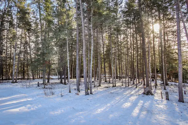 4109 Buttercup LN NW, Solway, MN 56678