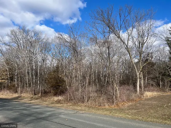 tbd Putting AVE, Ravenna Twp, MN 55033