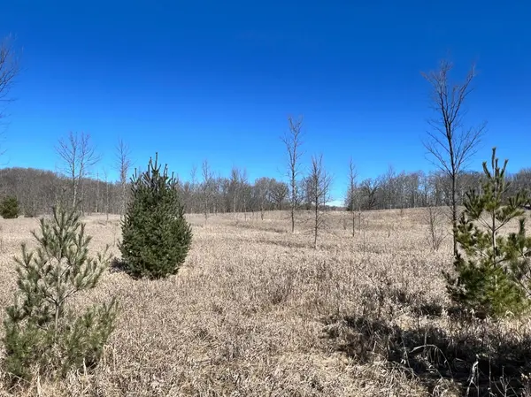 TBD Borah Rd, Erie Twp, MN 56501